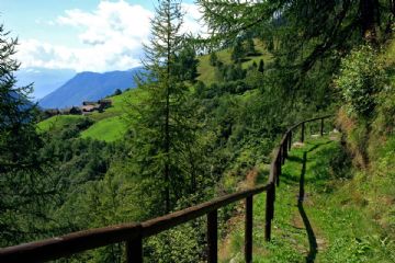 Servizio di trasporto flessibile nell’area interna bassa valle