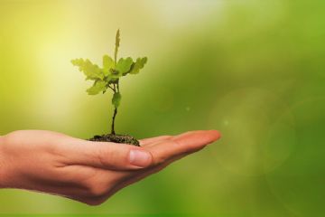 Corso gratuito di compostaggio domestico