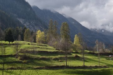 Squarcio prati dalla zona laghetto