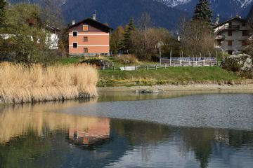 Laghetto in primavera<br>